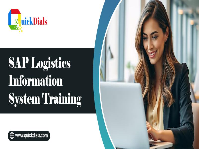 SAP Logistics Information System Training
